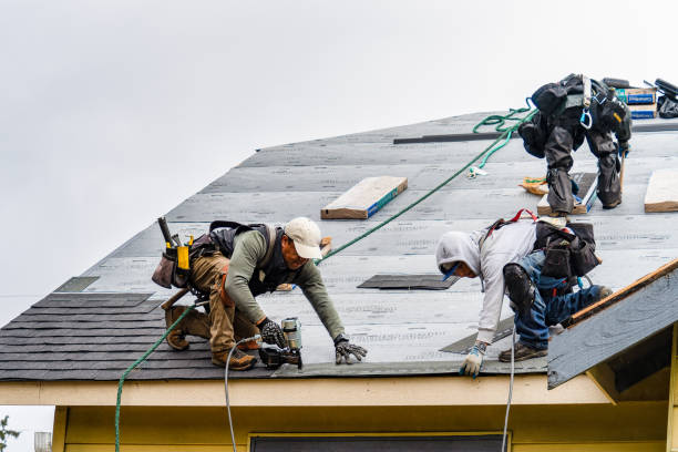 Professional Storm Damage Roof Repair technician working in West Point, NE